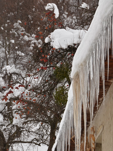 Foto E iarna in Chiuzbaia (c) Lucian Petru Goja